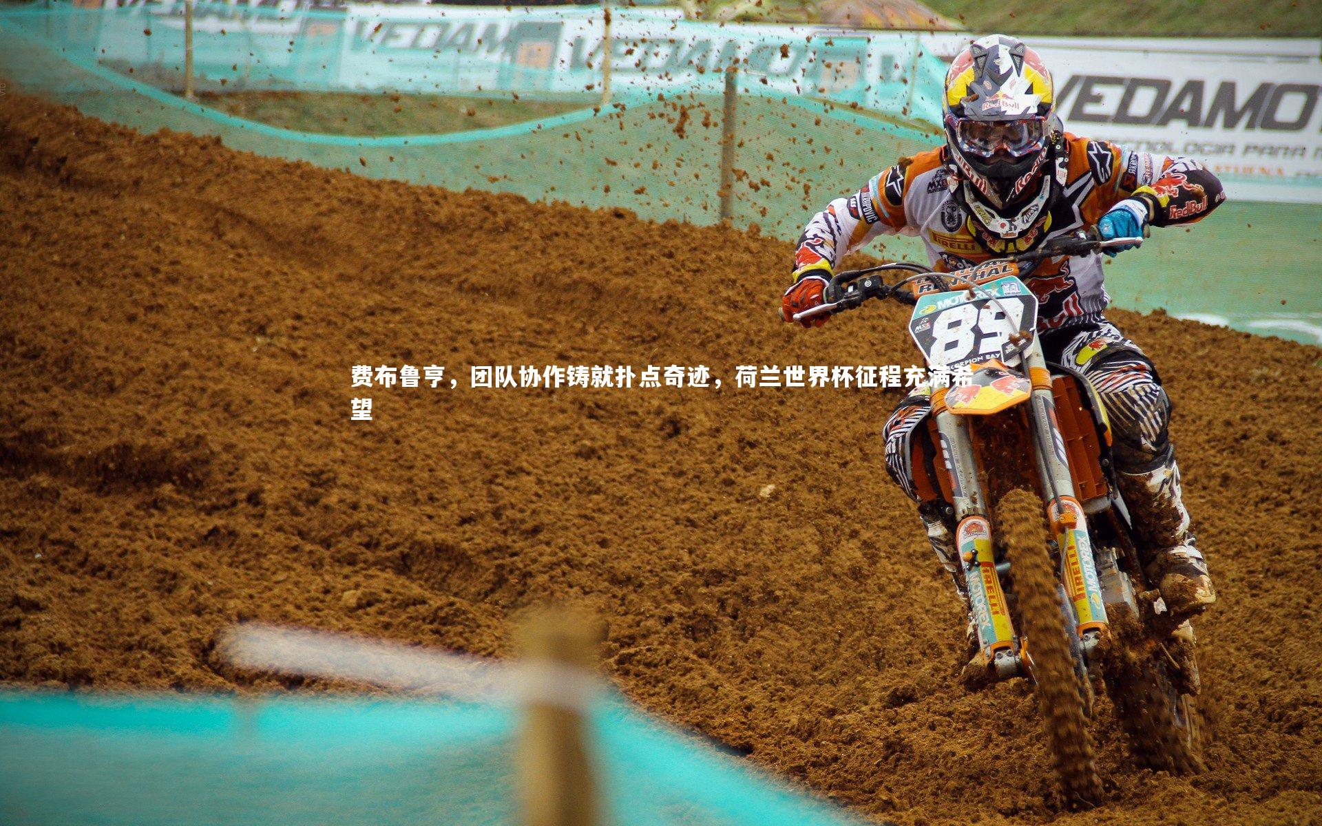 费布鲁亨,团队协作铸就扑点奇迹,荷兰世界杯征程充满希望