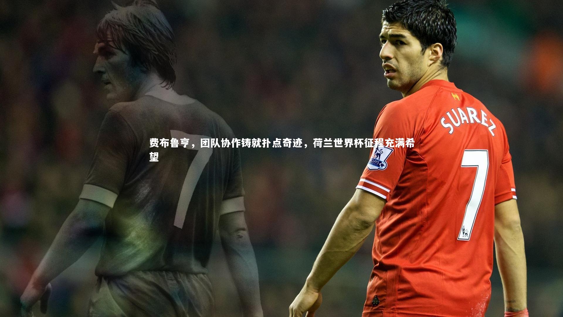 费布鲁亨,团队协作铸就扑点奇迹,荷兰世界杯征程充满希望